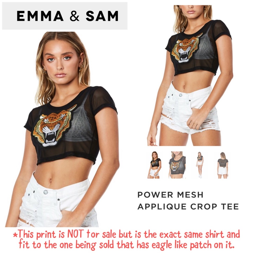 NWOT Emma & Sam Power Mesh Appliqué Crop Tee - Picture 3 of 8